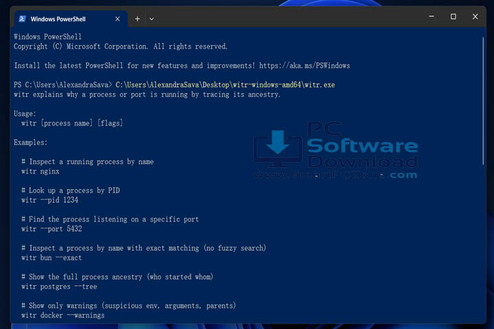 witr v0.3.2 [Free of Cost]